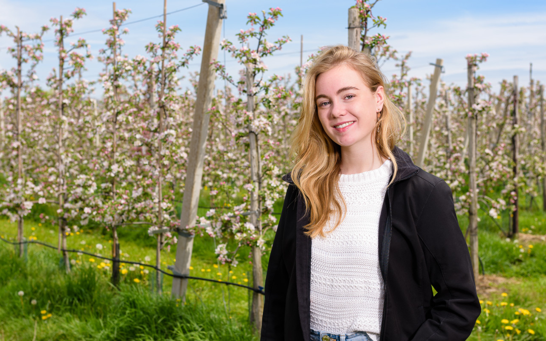 Internship experience Julia Brok