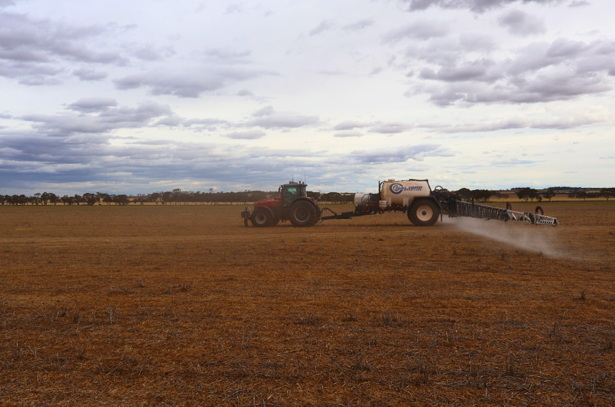 Crop sugar beet