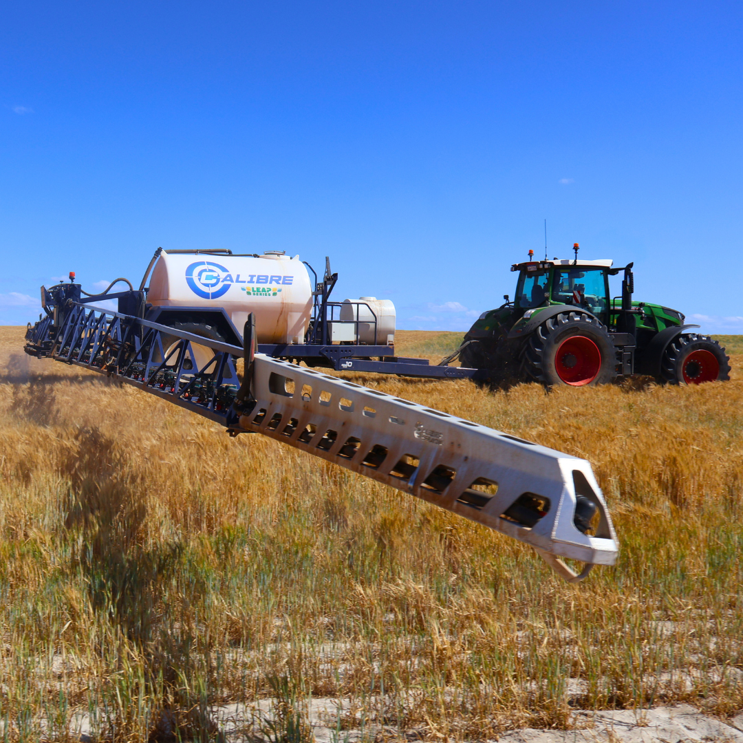 Crop sugar beet