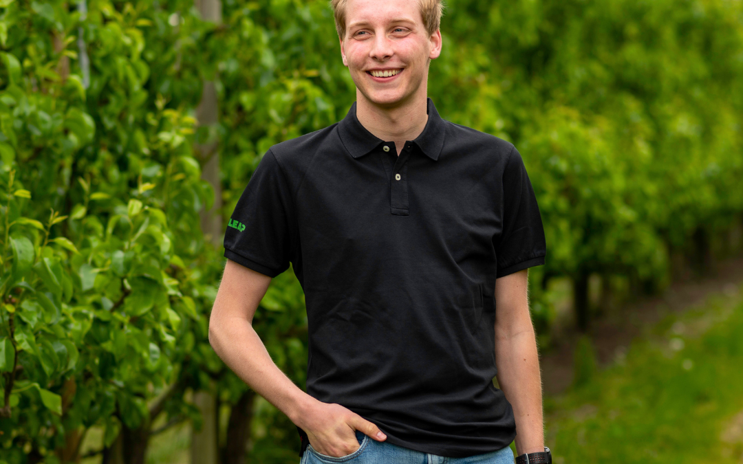 Internship experience Rinke