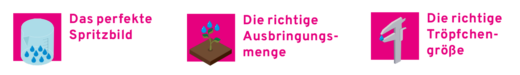Sprtizen