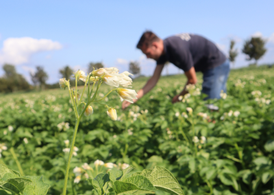 Pilot BBLeap en Agrifirm