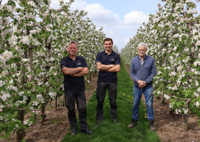 Van Maaren Fruit