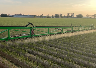 Cost Reduction in Red Onions Using Row Spraying | Beuling Farm