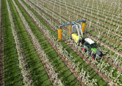 Precision Blossom Thinning Cuts Resources by 60% | Van Haarlem