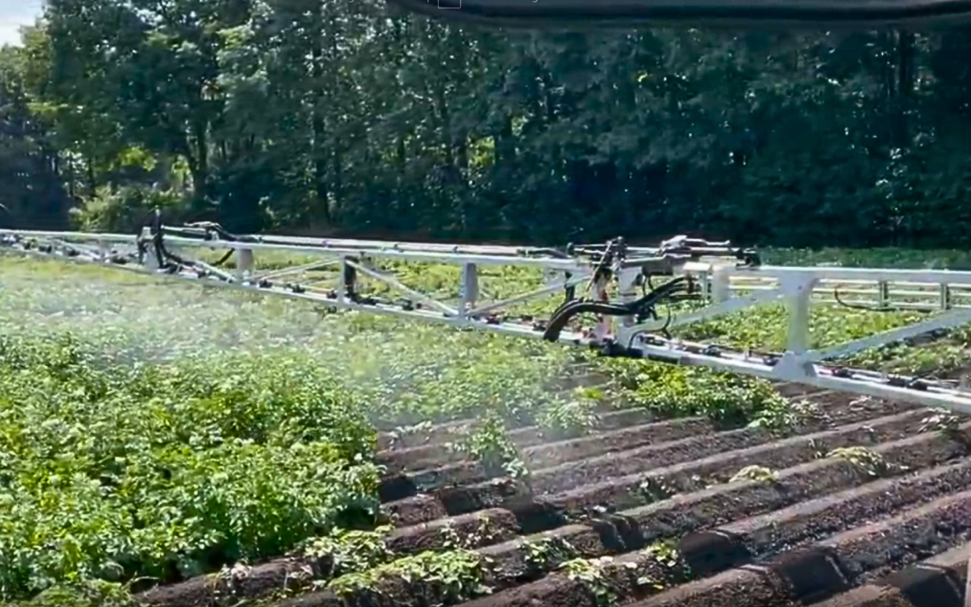30% Reduction In a Varied Potato Crop | van Leeuwen Boomkamp