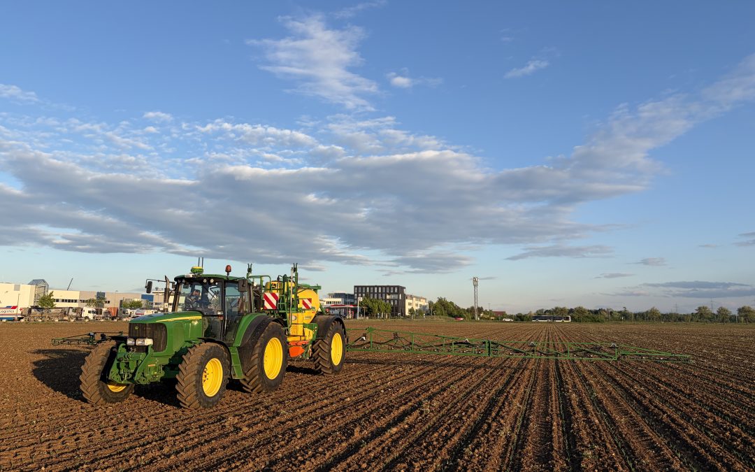 95% input savings by targeting localized thistle patches in maize | Bayerische Staatsgüter